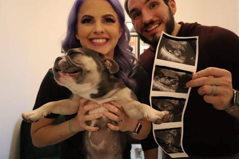 Candice LeRae and Johnny Gargano are expecting a baby in February 2022.
