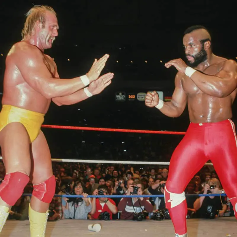 Hulk Hogan vs Mr. T
