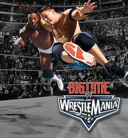 WrestleMania 22