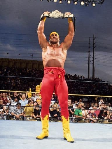 WRESTLEMANIA IX Hulk Hogan