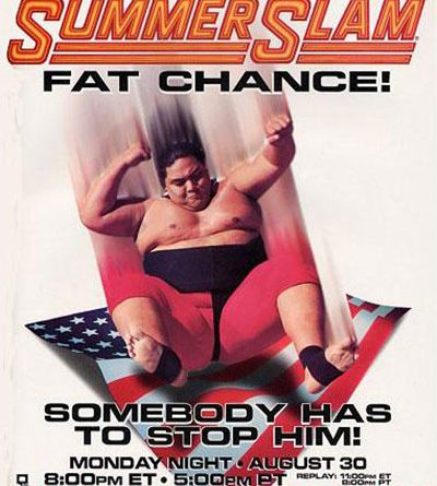 SummerSlam 1993