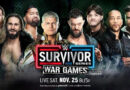 WWE SURVIVOR SERIES WARGAMES