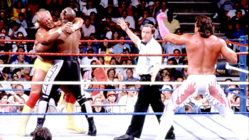 SummerSlam 1989