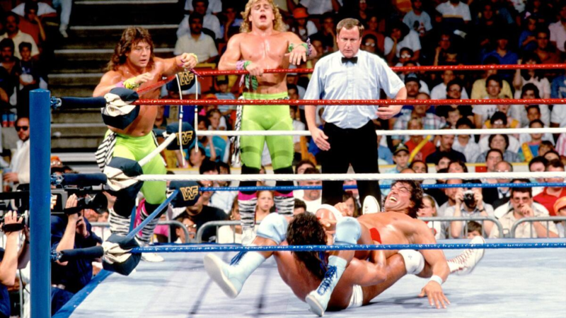 SummerSlam 1989